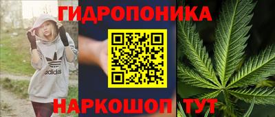 ГАЛЛЮЦИНОГЕННЫЕ ГРИБЫ Будённовск