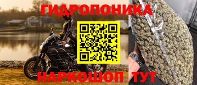 ГАЛЛЮЦИНОГЕННЫЕ ГРИБЫ Будённовск